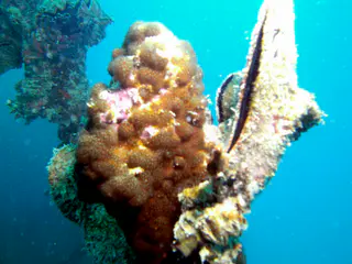 Camera 14MP-9PC