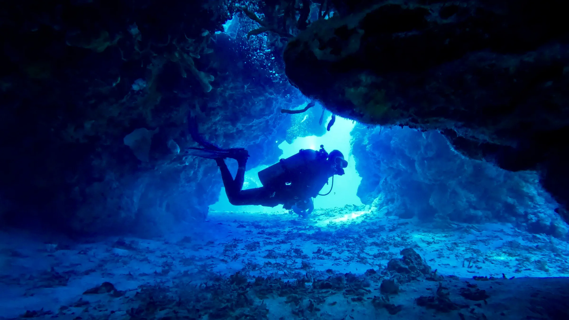 Cozumel underwater photograph, 2025