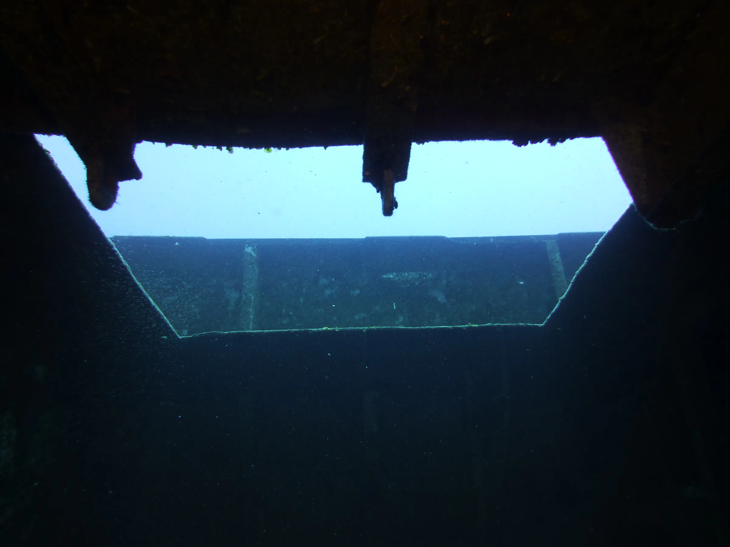 Cayman Islands underwater photograph, 2014