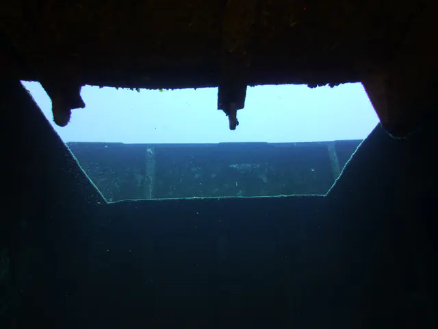 Underwater photograph by Joel Bergsma