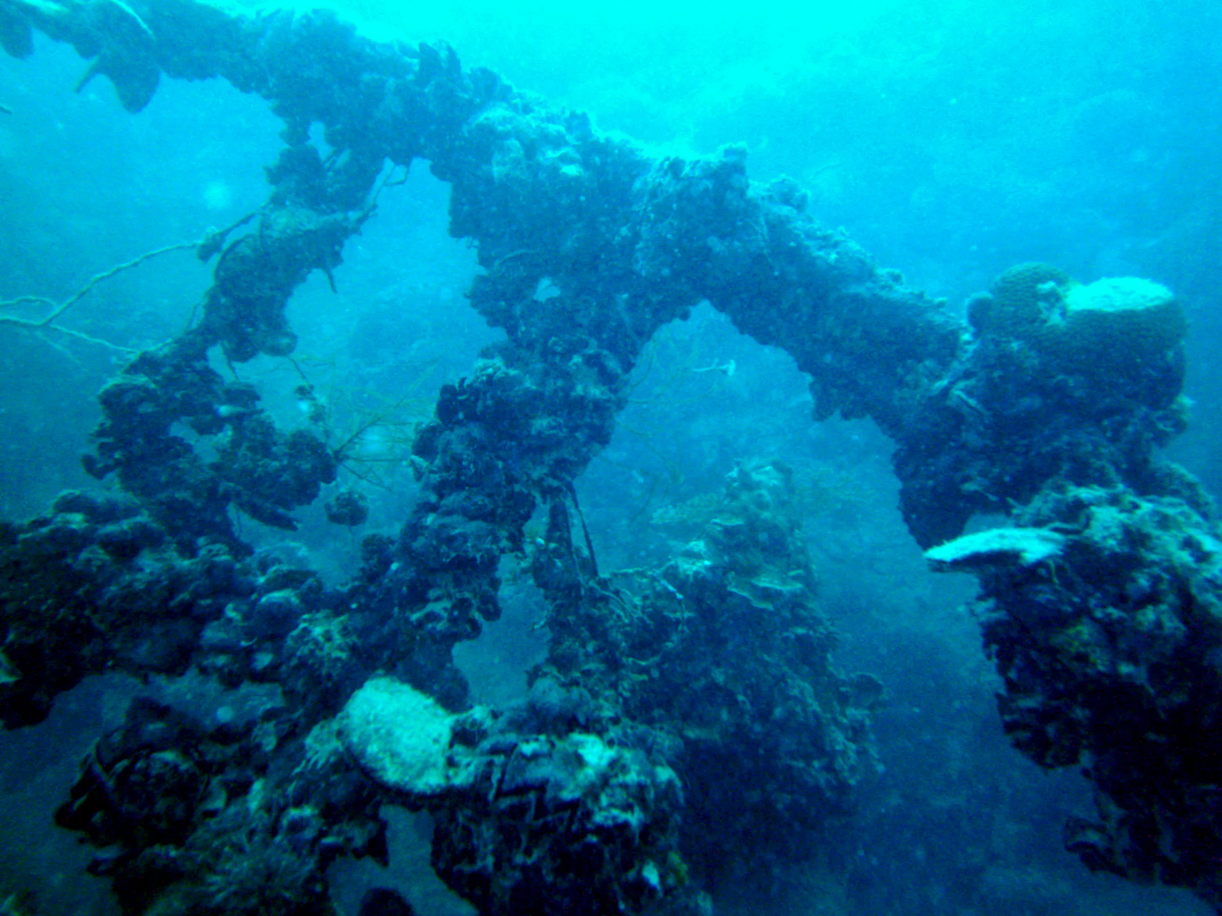 The ship's rail.