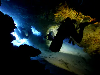 Underwater photograph by Joel Bergsma