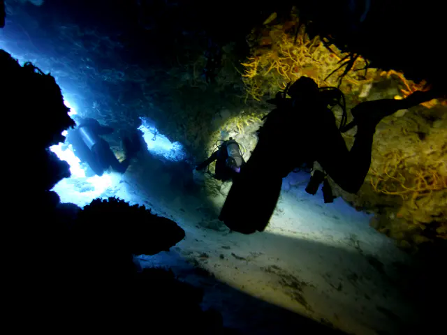 Underwater photograph by Joel Bergsma