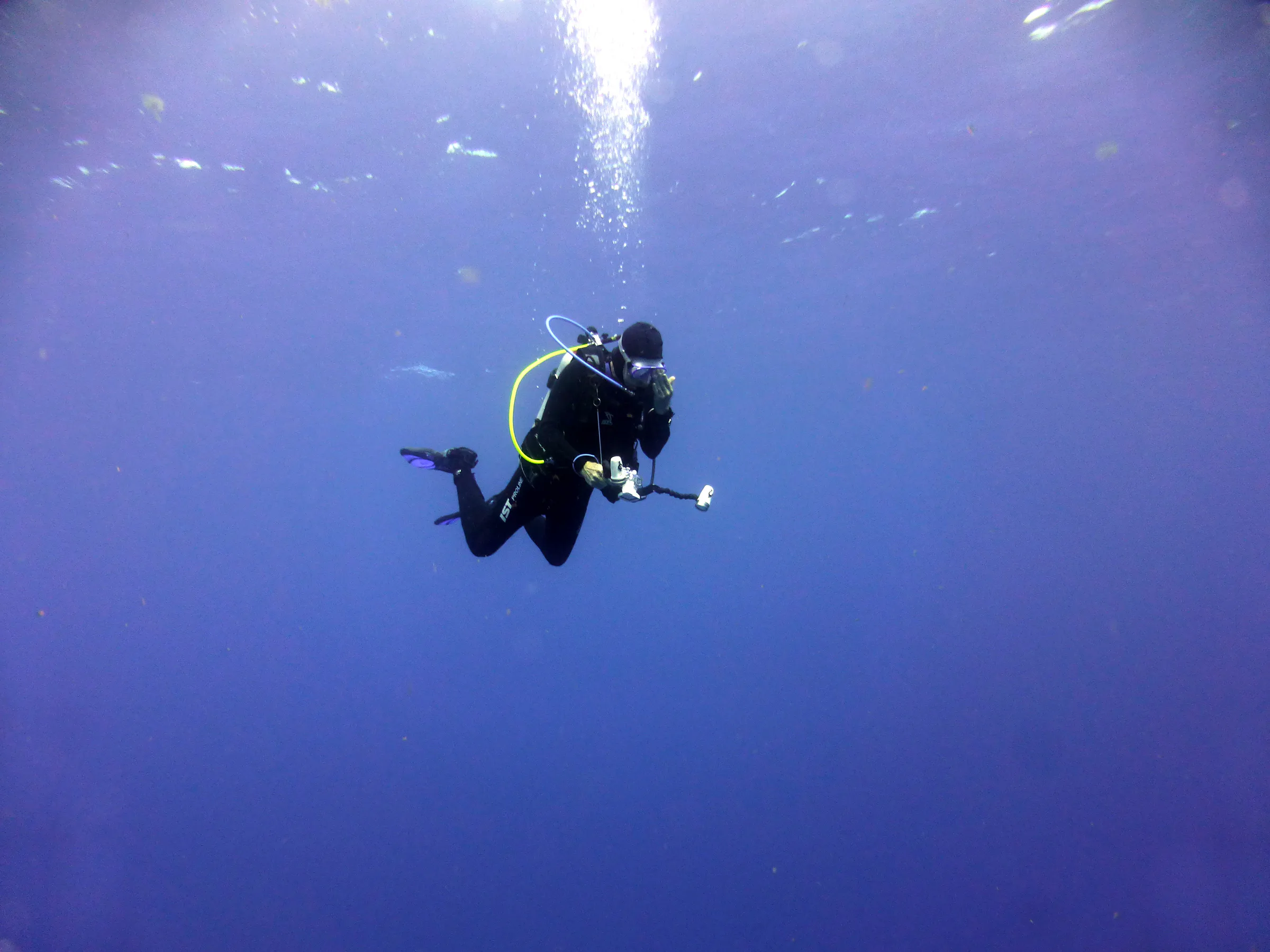 Belize underwater photograph, 2017
