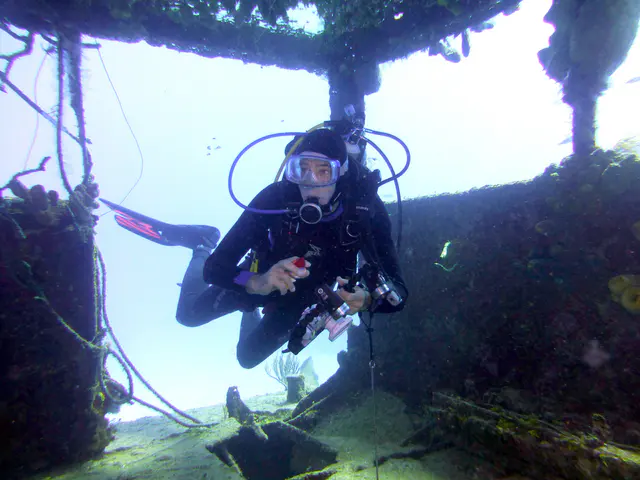 Underwater photograph by Joel Bergsma