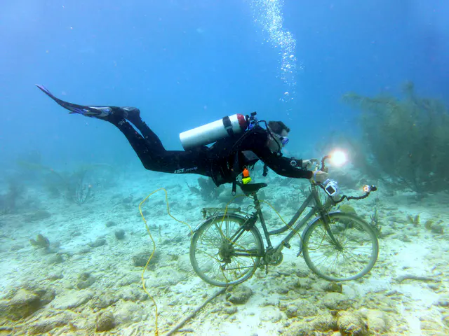 Underwater photograph by Joel Bergsma