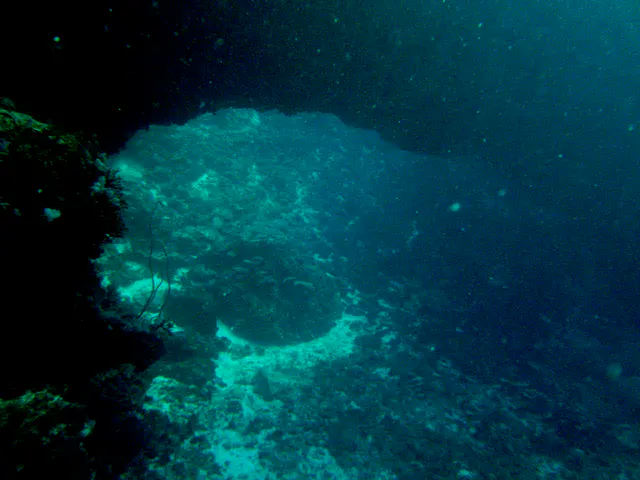 Looking back from open ocean at the pass under the Coral Bridge.