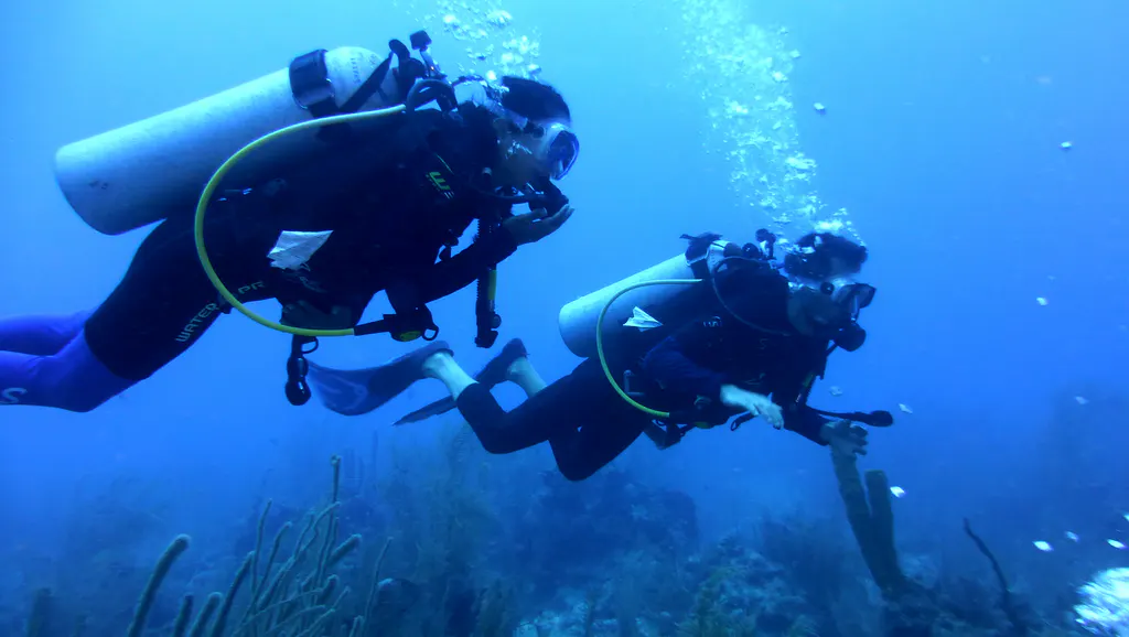 Underwater photograph by Joel Bergsma