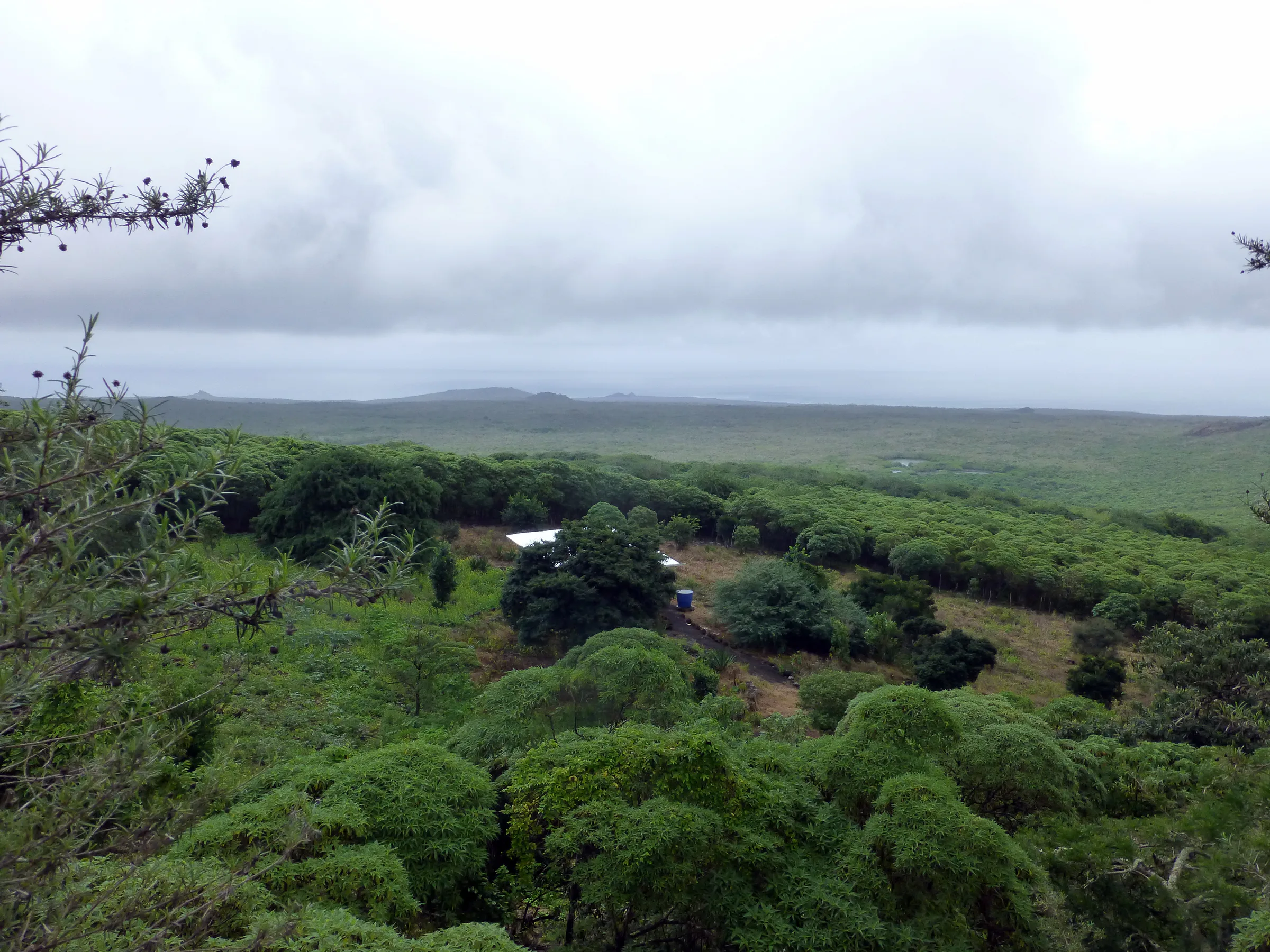 Floreana - View from the Pirate Caves.  A thick marine layer has settled in over Floreana.
