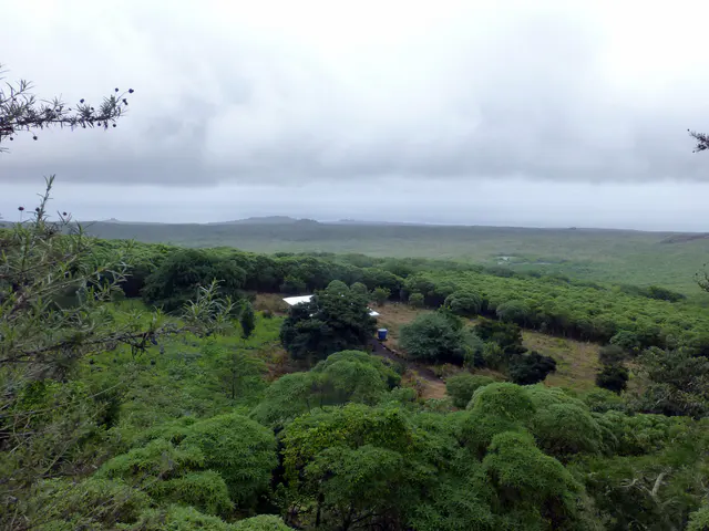 Floreana - View from the Pirate Caves.  A thick marine layer has settled in over Floreana.
