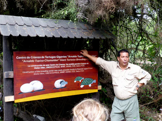 Visiting the Giant Tortoise Breeding Center on Isabela Island.