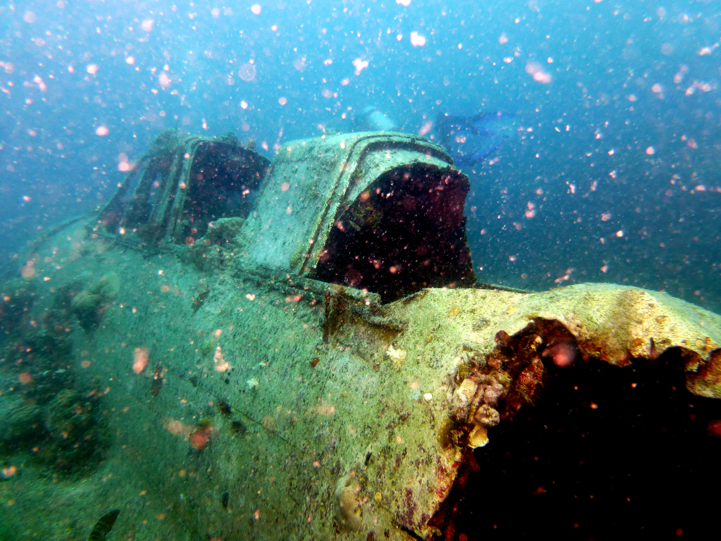 Palau underwater photograph, 2013