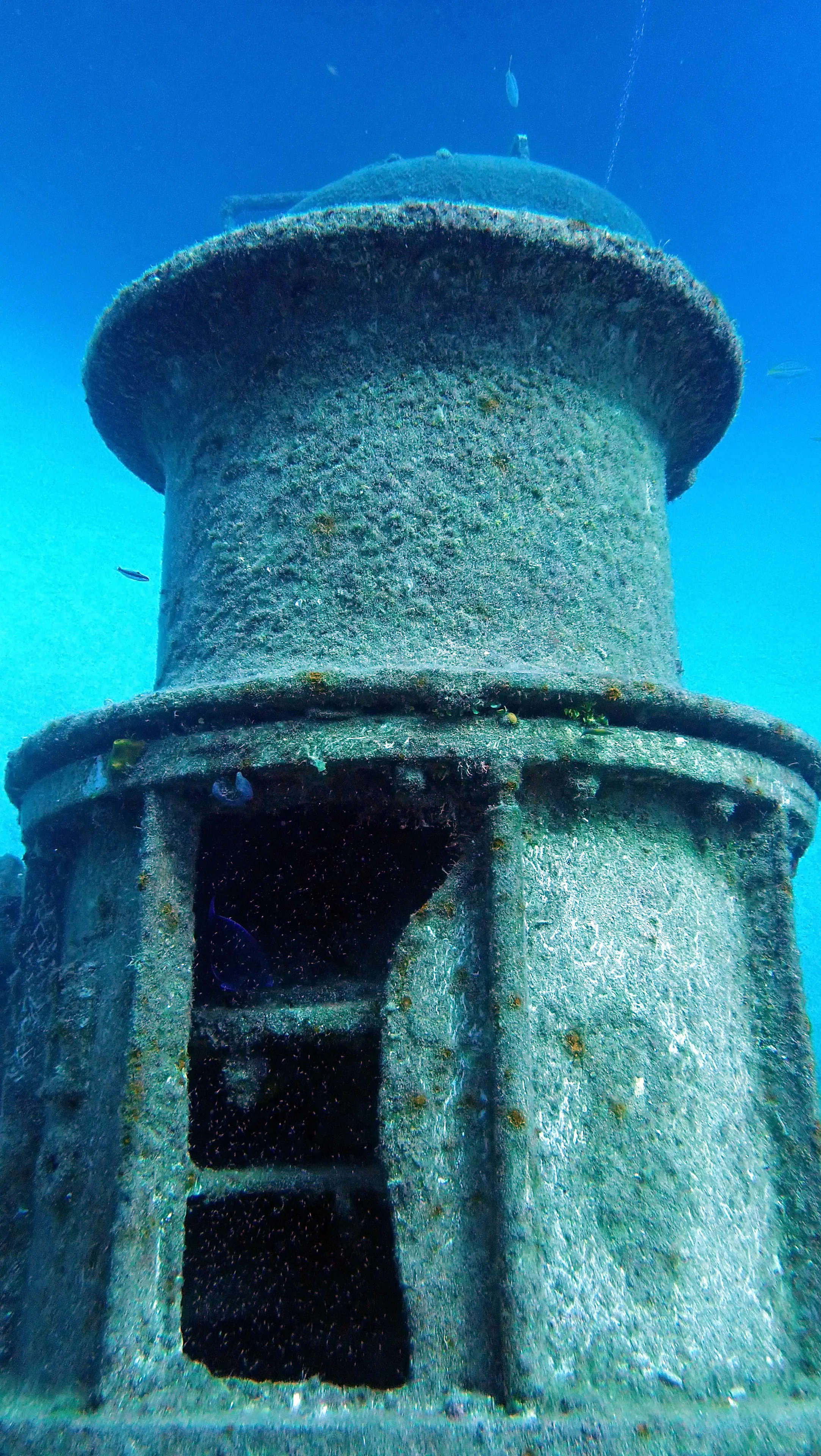 Cayman Islands underwater photograph, 2019
