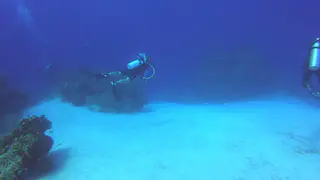 Divers