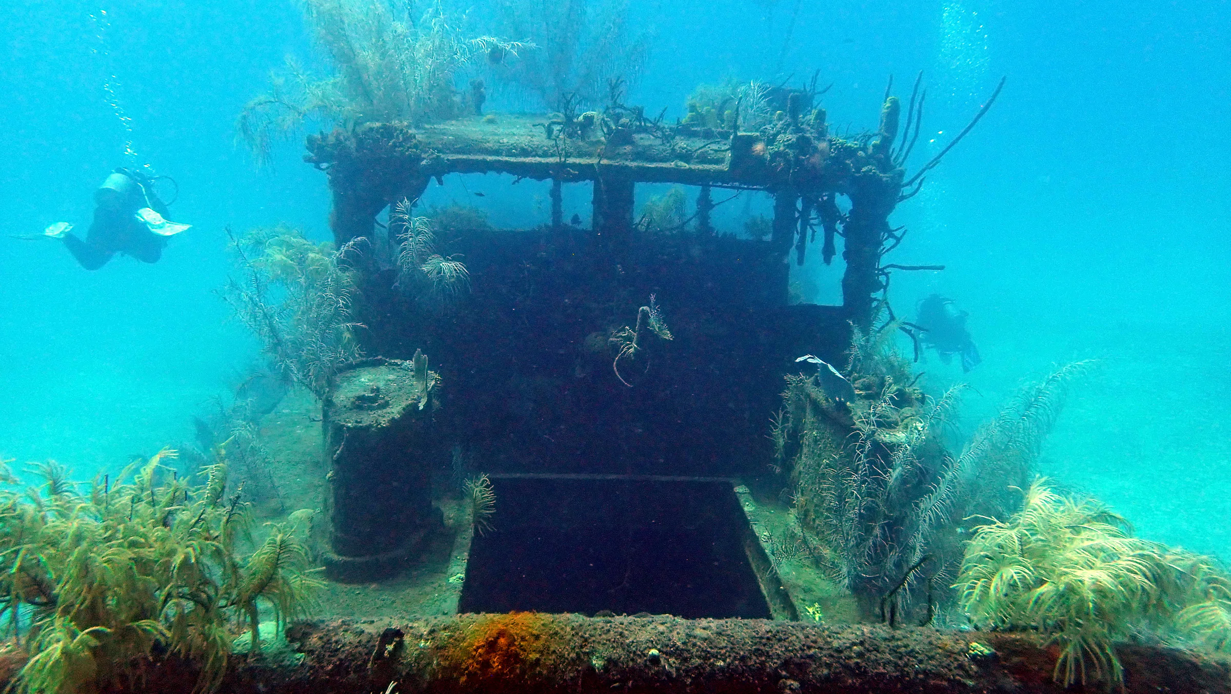 Cayman Islands underwater photograph, 2019