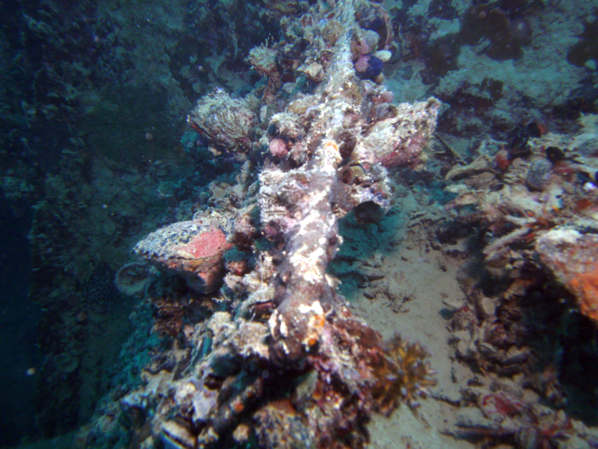 Propeller shaft (perhaps).