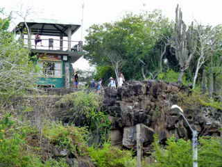 Entry area for the 45 minute hike to Tortuga Bay. Notice the volcanic rock that is present throughout the Galapagos.