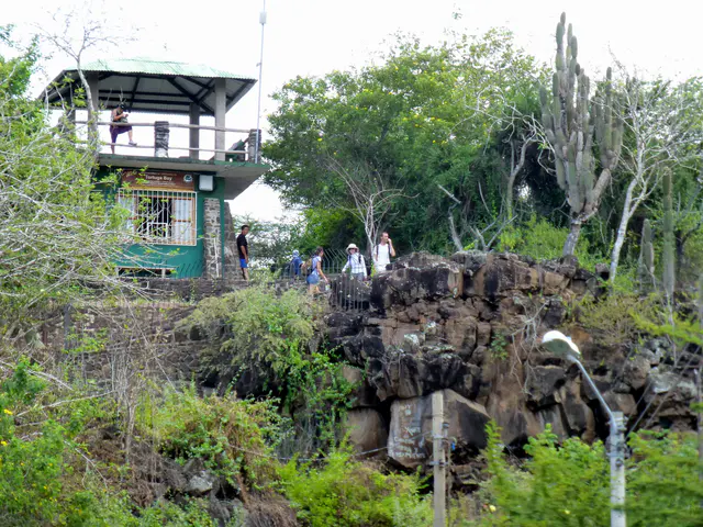 Entry area for the 45 minute hike to Tortuga Bay. Notice the volcanic rock that is present throughout the Galapagos.
