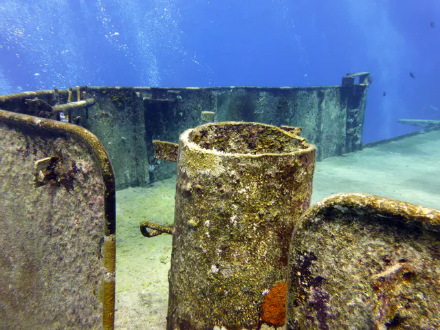 Underwater photograph by Joel Bergsma