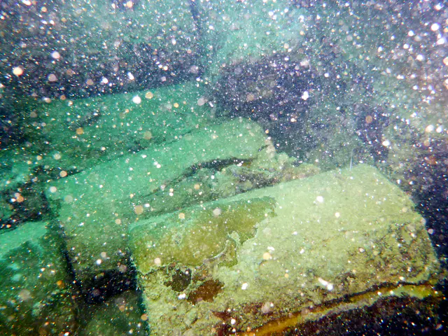 Underwater photograph by Joel Bergsma
