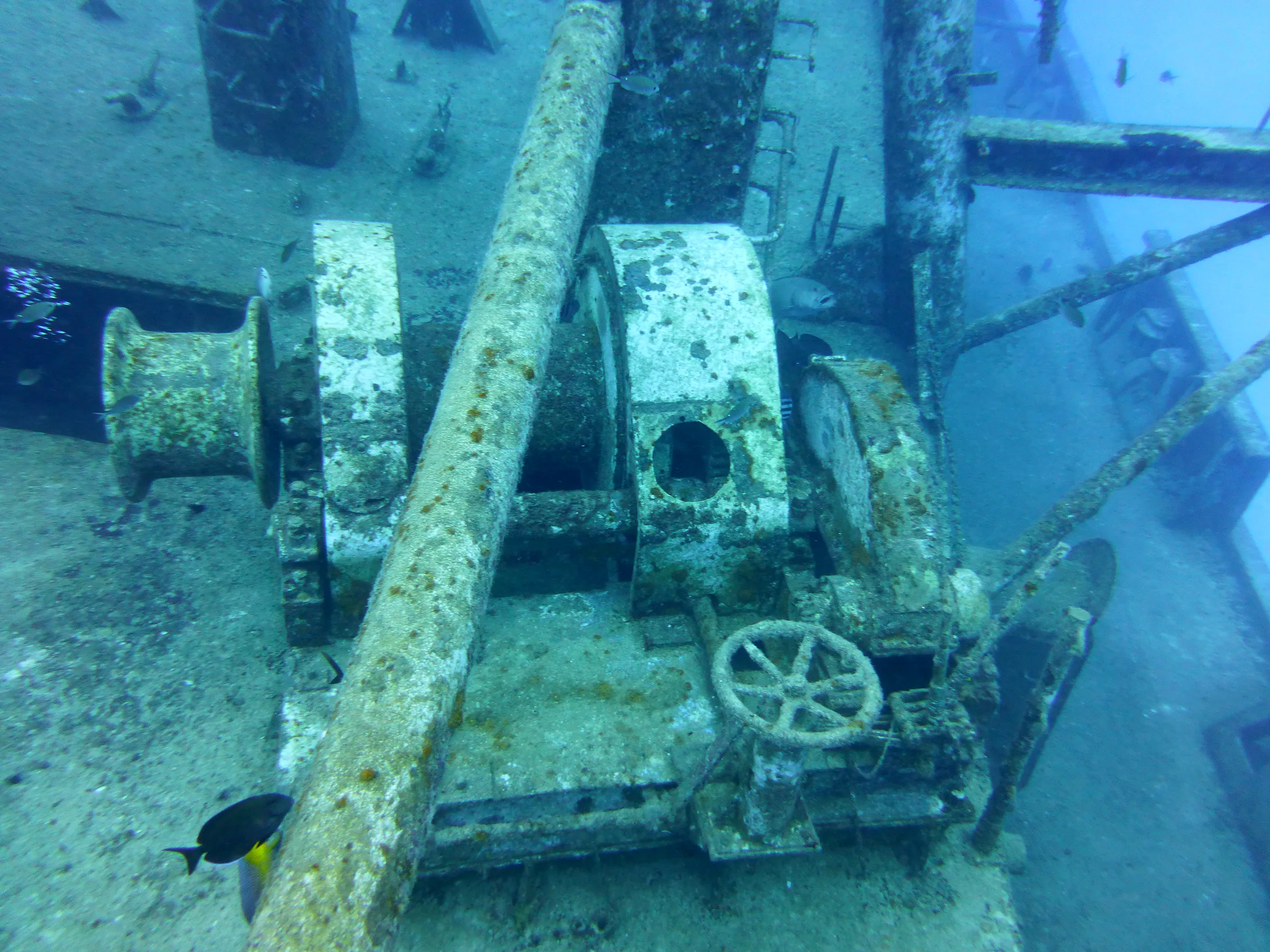Cayman Islands underwater photograph, 2014