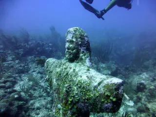 Underwater photograph by Joel Bergsma