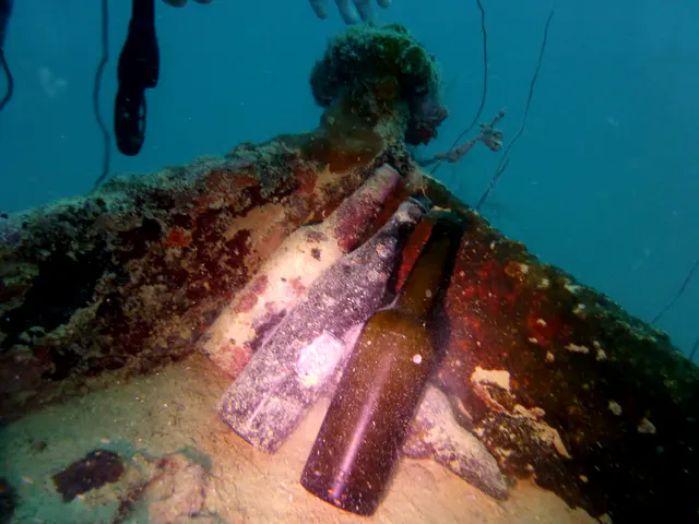 Underwater photograph by Joel Bergsma