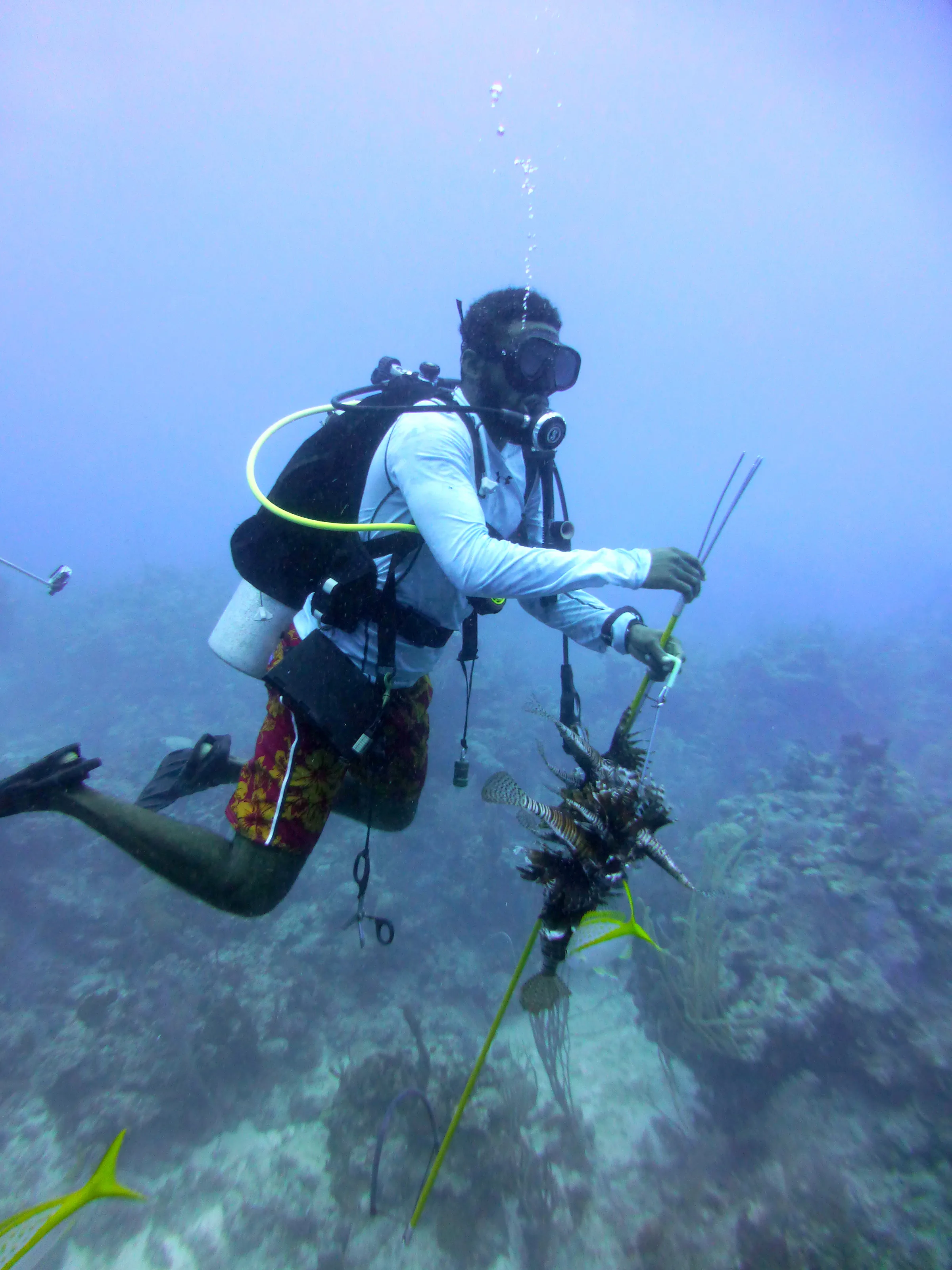 Belize underwater photograph, 2017