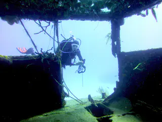 Underwater photograph by Joel Bergsma